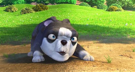 Here you can download any video even zul 2 by 2 from youtube, vk.com, facebook, instagram, and many other sites for free. The Nut Job 2: Nutty by Nature TV Spot - Precious (2017)