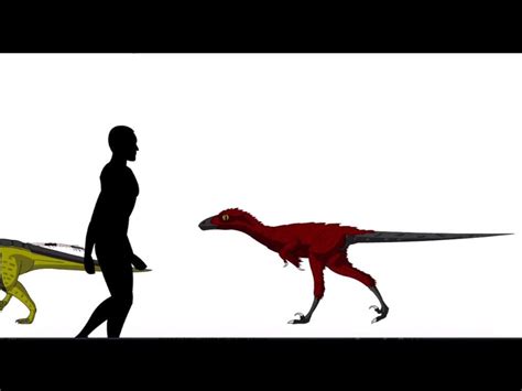 Marching Dinosaurs Animated Size Comparison Prehistoric Amino Amino