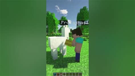 Minecraft Glitches That Will Blow Your Mind Youtube