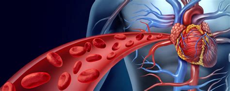 Malformacion Arteriovenosa Clinica Buena Salud