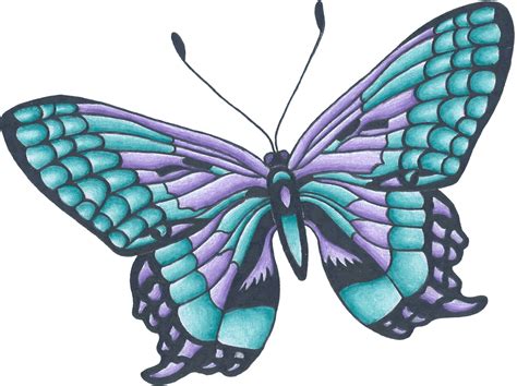 Blue Butterfly Drawings Clipart Best