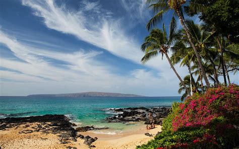 The Beach Is Surrounded By Palm Trees And Blue Water With Pink Flowers