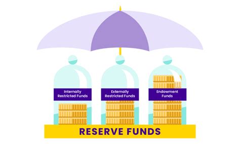 Nonprofit Reserve Funds: Guide to Financial Stability | Enkel
