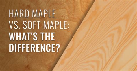 hard maple vs soft maple what s the difference