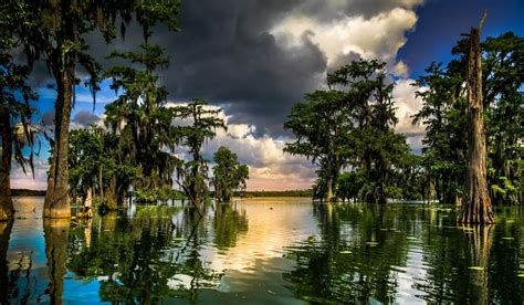 Photograph Bayou Louisiane By Chantal Cecchetti On 500px Louisiana