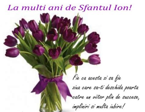 Fiecare an este o carte cu 365 de pagini goale. Mesaje și felicitari de Sfântul Ion: La mulți ani, Ion, Ioana, Ionuț, Oana, Ionel și Ioan ...