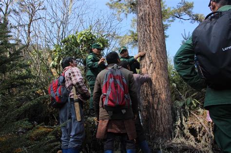 Enhancing Knowledge Bases Capacity Building For Foresters On Resource
