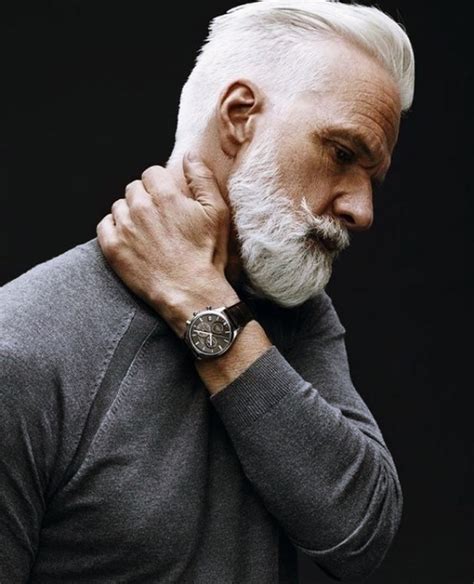 Modest Grey Beard Styles For Men Macho Vibes