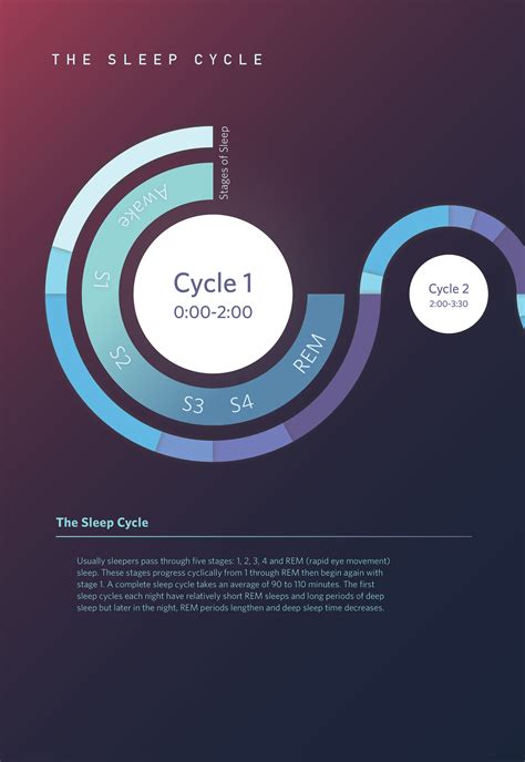 the sleep cycle infographic on behance