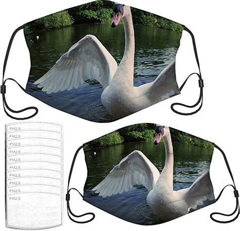 Face Mask Big Swan Spreading Wings For The Camera At Masks Set With 10