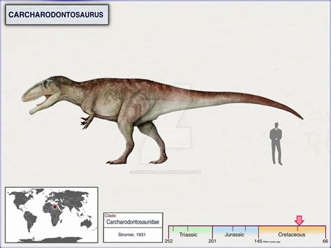 Carcharodontosaurus By Cisiopurple On Deviantart Animales De La