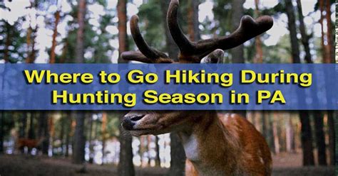 Where To Go Hiking During Hunting Season In Pennsylvania Uncovering Pa