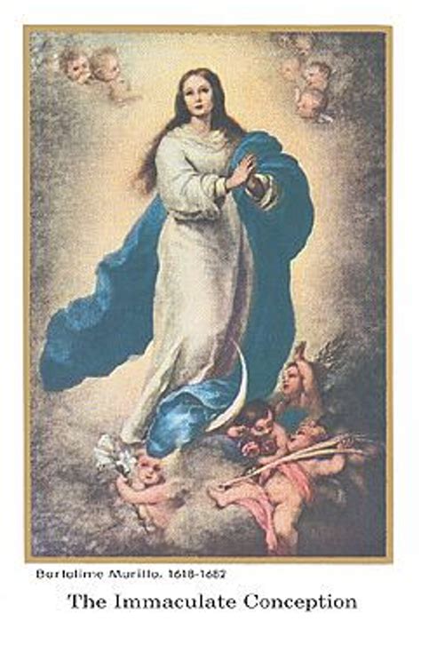 Holy Card Immaculate Conception Hail Holy Queen Prayer Bchg219ah013 Fc Ziegler Company