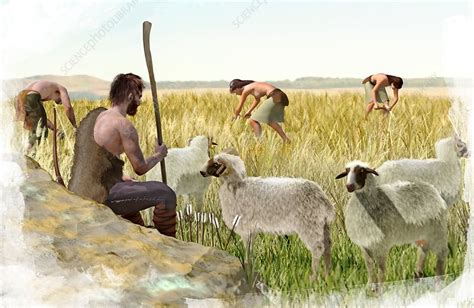 Neolithic Age Farming My Xxx Hot Girl