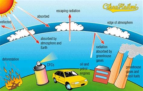 Haba yang terperangkap menyebabkan peningkatan suhu global, secara langsung mempengaruhi sumber haiwan dan habitat haiwan. Kesan Rumah Hijau : Greenhouse Effect