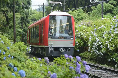 hakone and kamakura 3 day rail pass getyourguide