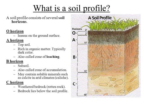 How To Make Soil Profile Model