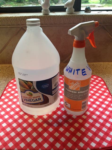 If you are trying to clean grout on a vertical surface, a spray bottle is probably your best bet. How to clean tile grout | HireRush Blog