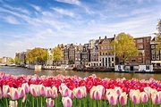 Amsterdam-Gutschein: 3 Tage im 4* Hotel inkl. Frühstück & Transfer ab ...
