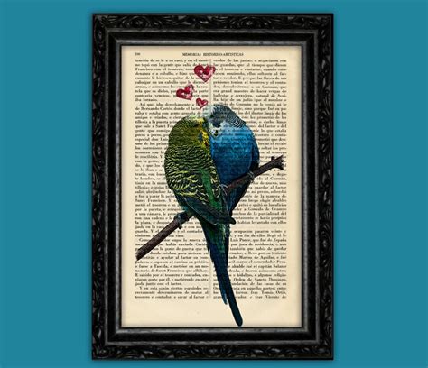 Kissing Budgies Valentine Birds In Love Budgerigar Parakeet Etsy