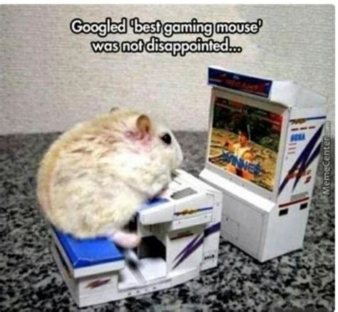 Best Gaming Mouse Rmemes