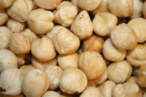 HAZELNUTS FILBERTS BLANCHED RAW UNSALTED 10LBS EBay