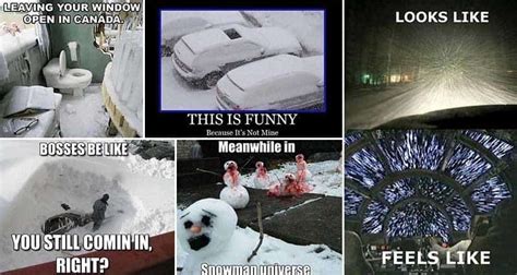 17 Amusing Images For Those Who Love Snow