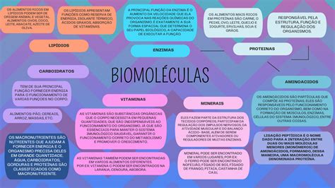 Mapa Mental De Biomoléculas Bioquímica I