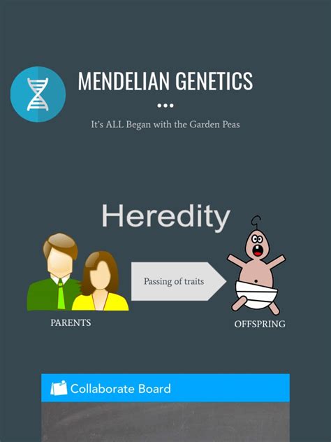 Mendelian Genetics Pdf