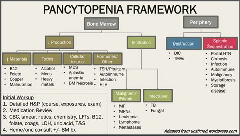 Pancytopenia Framework And Differential Diagnosis GrepMed