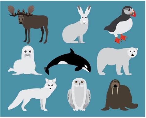 Png Arctic Animal Clip Art Digital Antarctica Wildlife Etsy Arctic