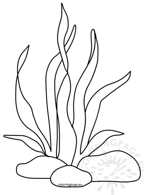 Free Seaweed Drawings Coloring Pages Sketch Coloring Page