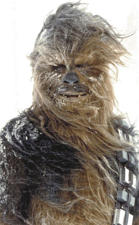 Chewbacca From So Many Aliens From Star Wars E News