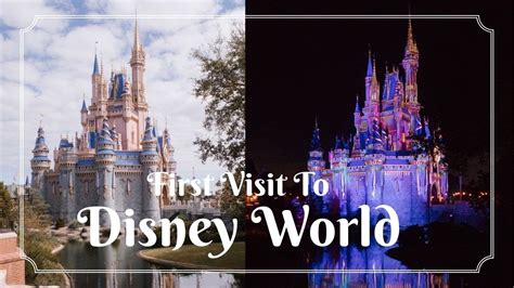 Disneyworld Vlog 2022 First Time At Walt Disney World All Four Parks