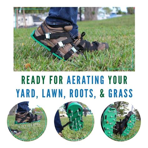 Although aerating your lawn in the spring certainly isn't wrong, it would have to take a close second compared to aerating in the fall. Did you aerating your lawn can help to revitalize and get the nutrients or fertilizers you are ...