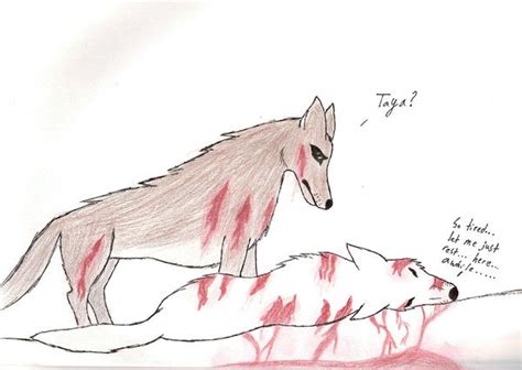 Mortally Wounded Taya By Wolf Outcast 13 On Deviantart