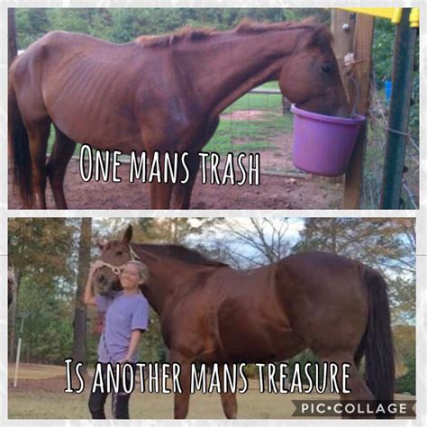 One Mans Trash Is Another Mans Treasure Rescuehorse Peopleareevil