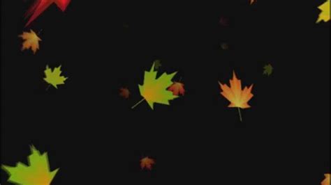 Animated Falling Leaves Background  Футажи Все для фотошоп