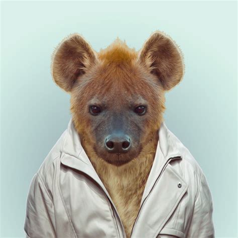 Zoo Portraits By Yago Partal