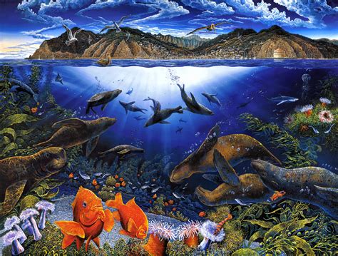 Ocean Life Desktop Wallpaper Wallpapersafari