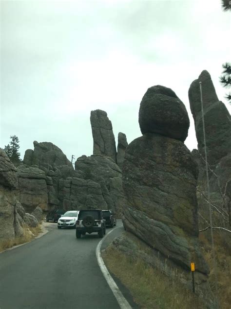 Custer State Park And Needles Highway Travel And Tell