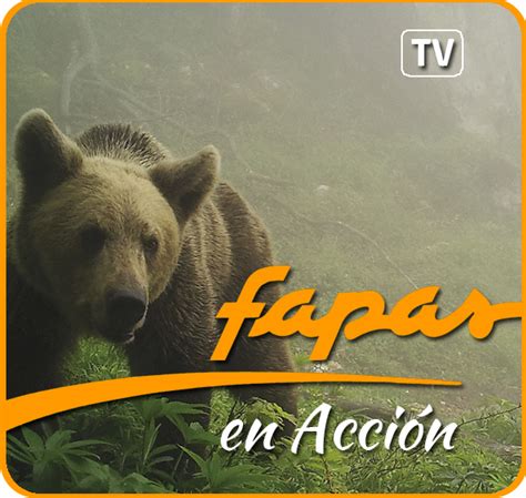 FAPAS Fondo para la protección de los animales salvajes Fapas en acción
