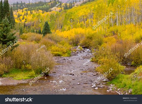 Autumn Mountain Landscape Forest Creek On Stock Photo 276648803