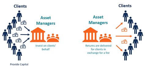 Asset Management Company Amc Overview Types Benefits