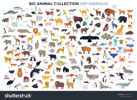 Top 137 List Of All Animals With Pictures