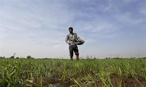 Thousands Of Farmer Suicides Prompt India To Set Up 13bn Crop