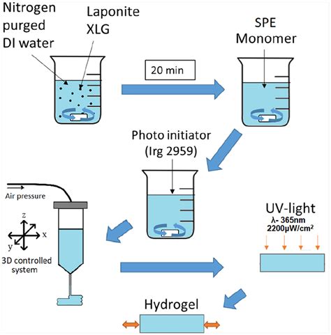 Schematic Diagram Of The Hydrogel Preparation And Manufacturing Method