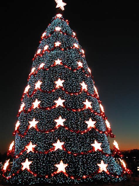 The Pageant Of Peace And The National Christmas Tree Hubpages