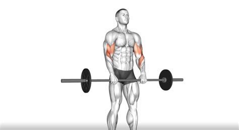 Reverse Curl Learn About The Benefits And Mistakes To Avoid