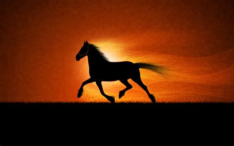 Running Horse Wallpapers Wallpapers Hd